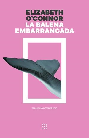 LA BALENA EMBARRANCADA | 9788419960313 | O'CONNOR, ELIZABETH | Llibreria La Font de Mimir - Llibreria online Barcelona - Comprar llibres català i castellà